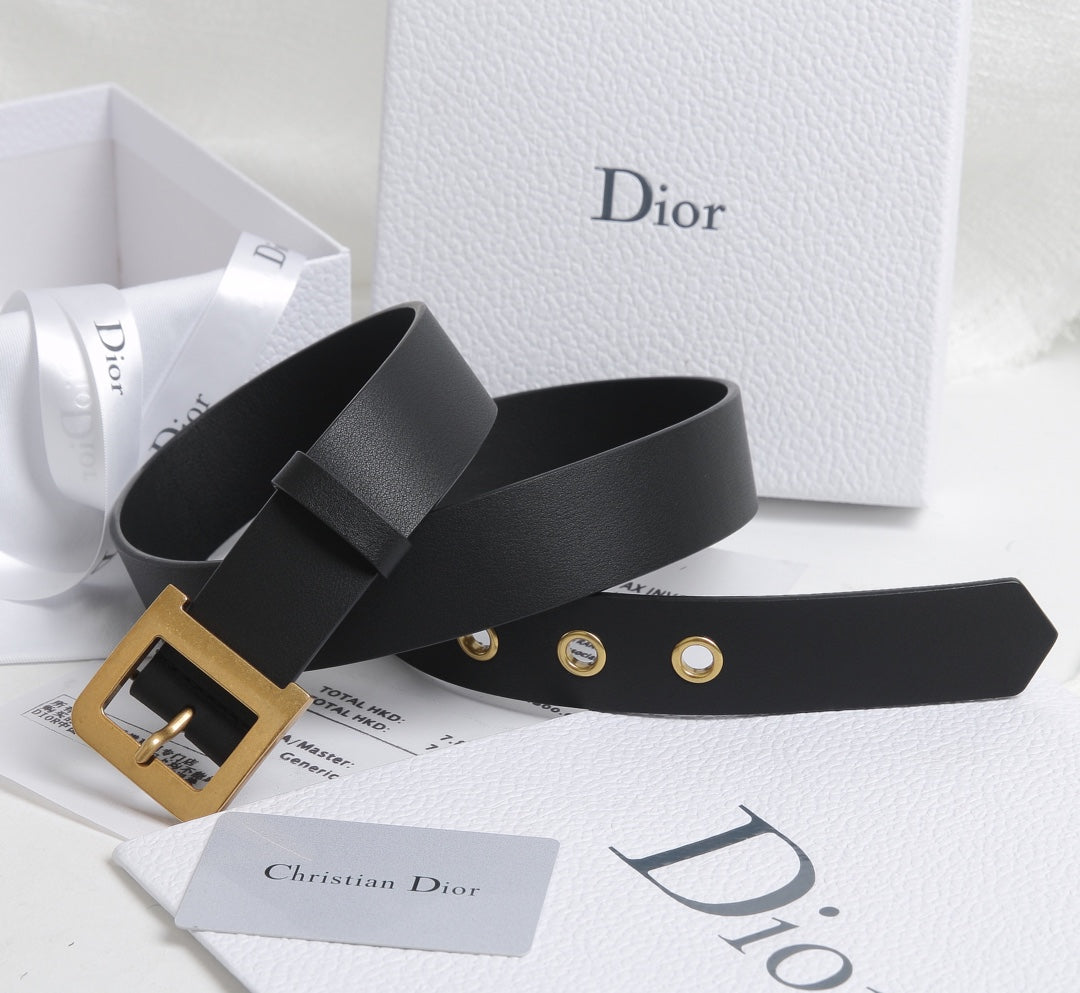 nmb -Luxury DIR BELTS 004