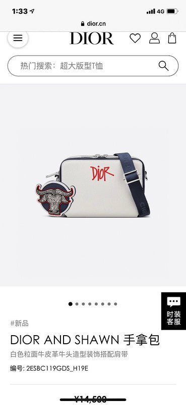 Dragons Bags Detail