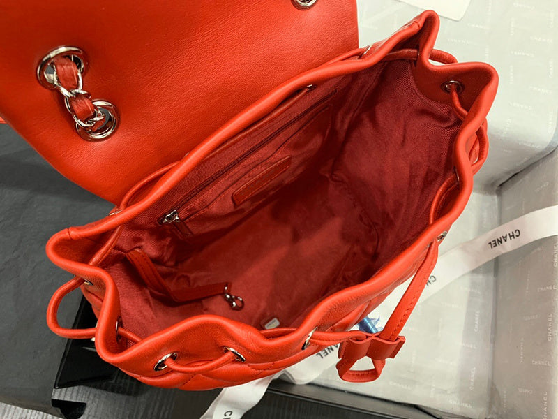 Dragons Bags Detail