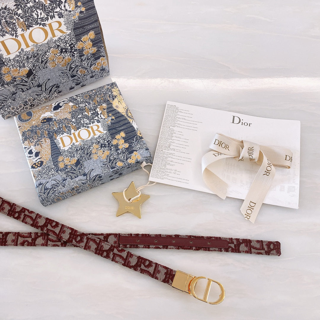 VBS -Luxury DIR BELTS 015