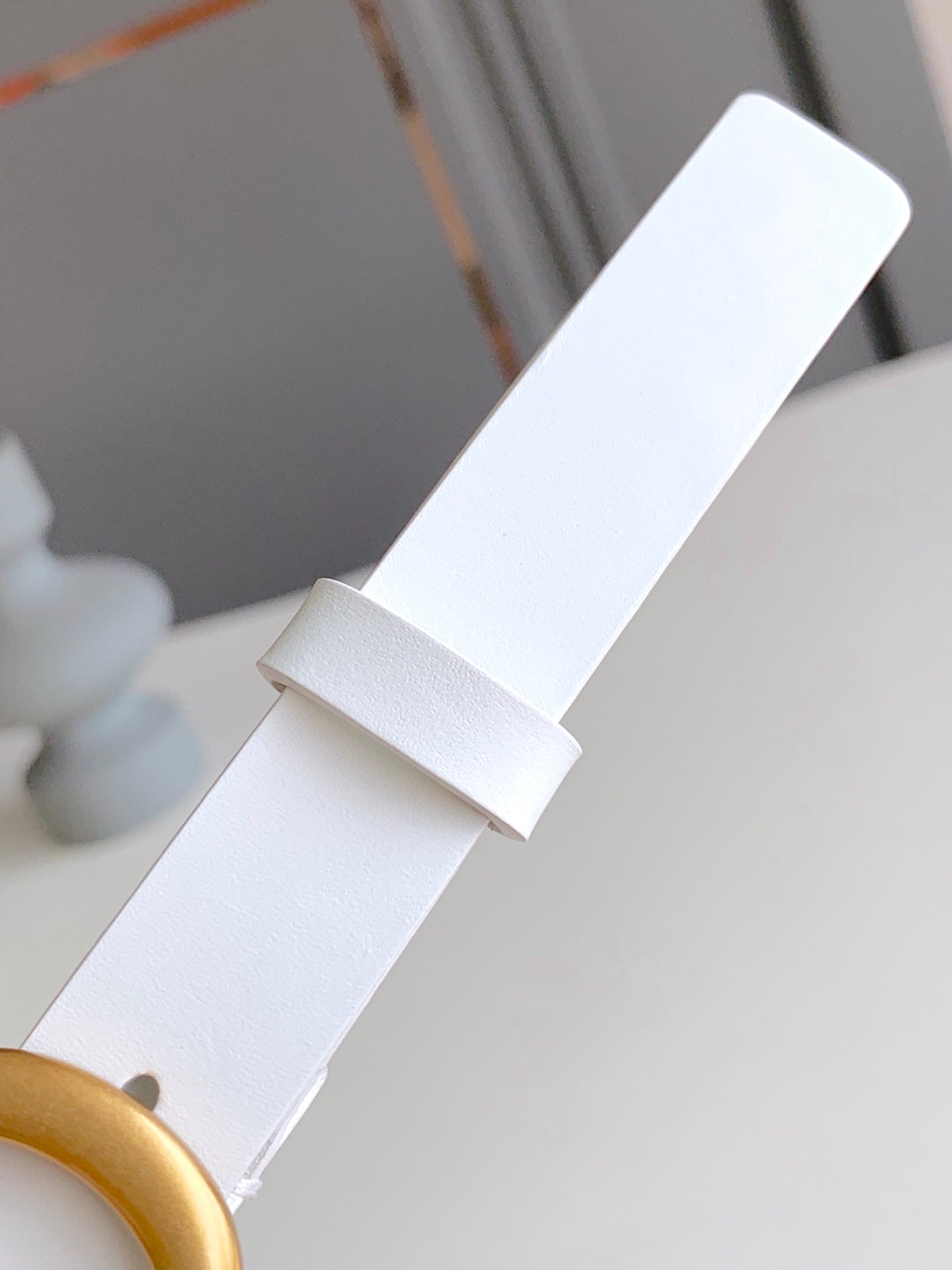 VBS -Luxury DIR BELTS 017