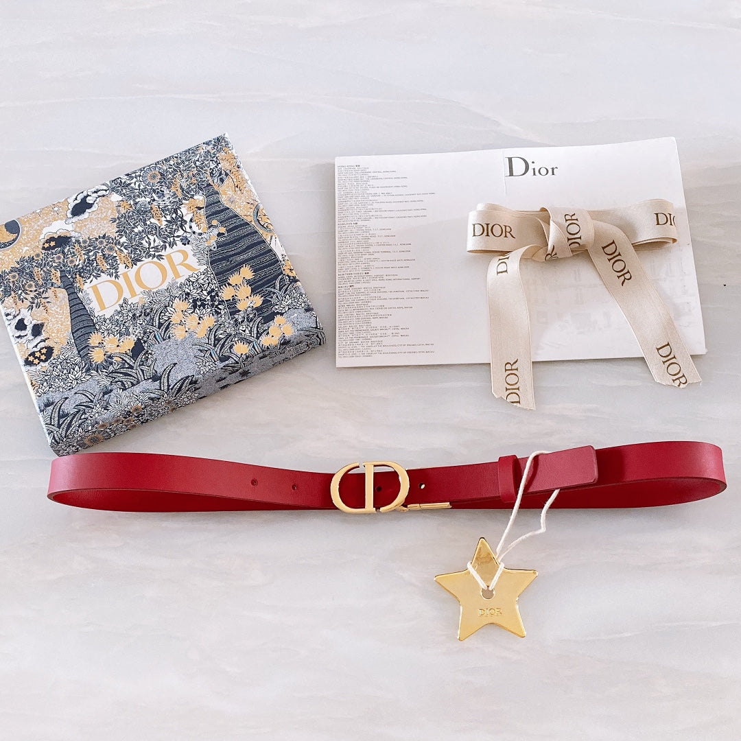 nmb -Luxury DIR BELTS 012