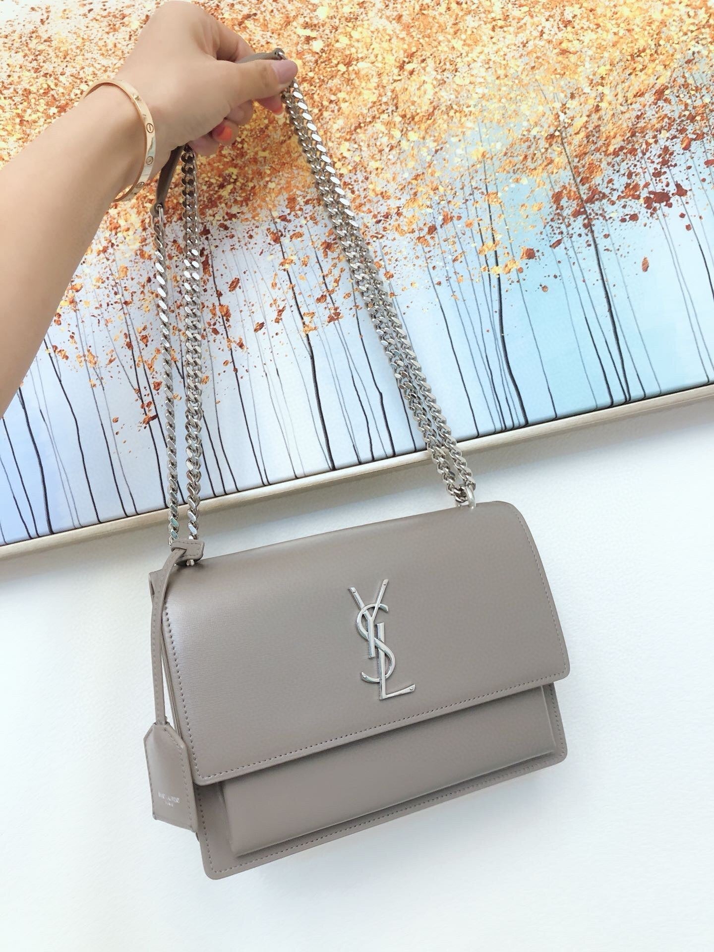 Dragons Bags - High-Quality Designer Products for You - AFFORDABLE LUXURY BAGS - 5815
