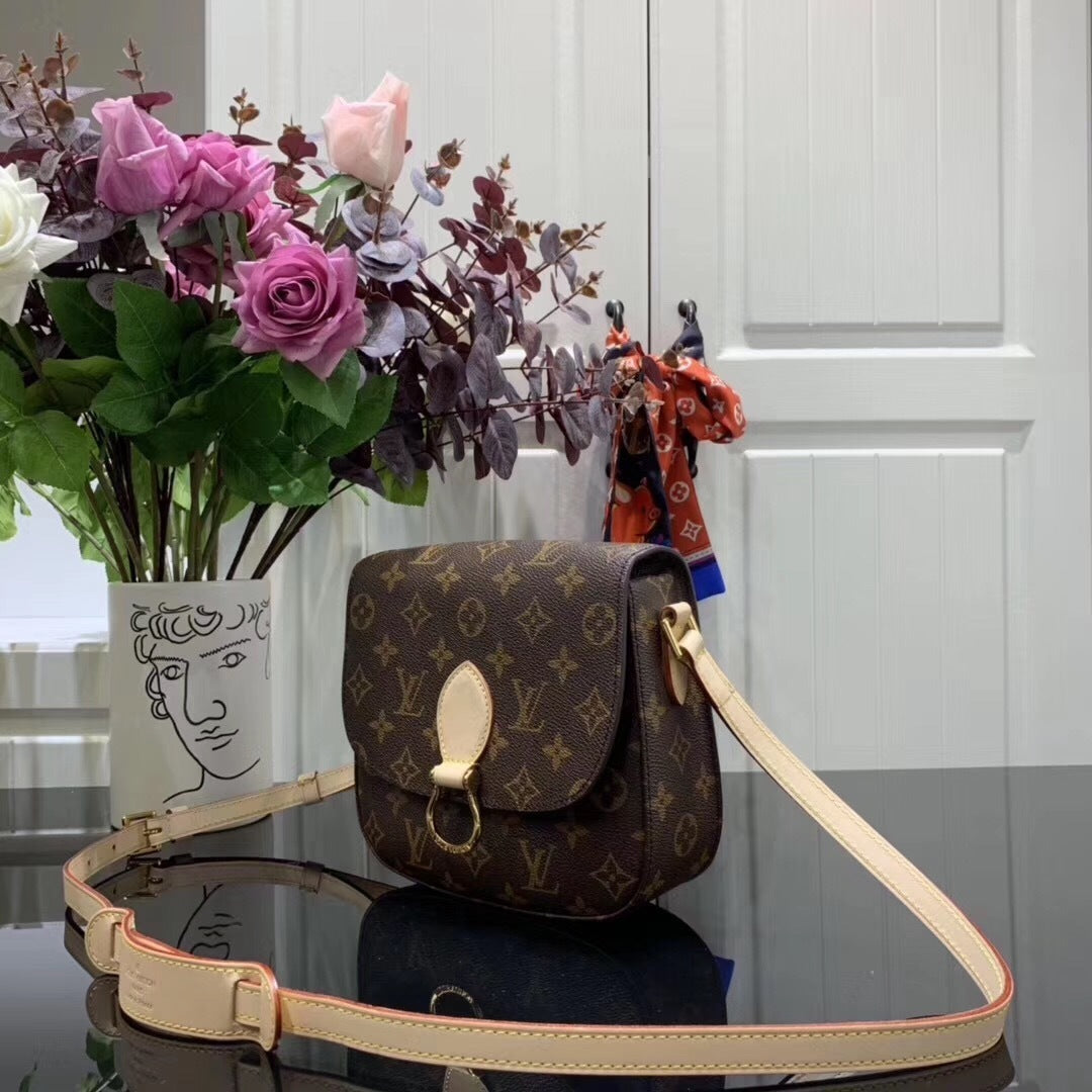 Dragons Bags - DESIGNER BAGS FOR WOMEN - AFFORDABLE LUXURY BAGS - 3848
