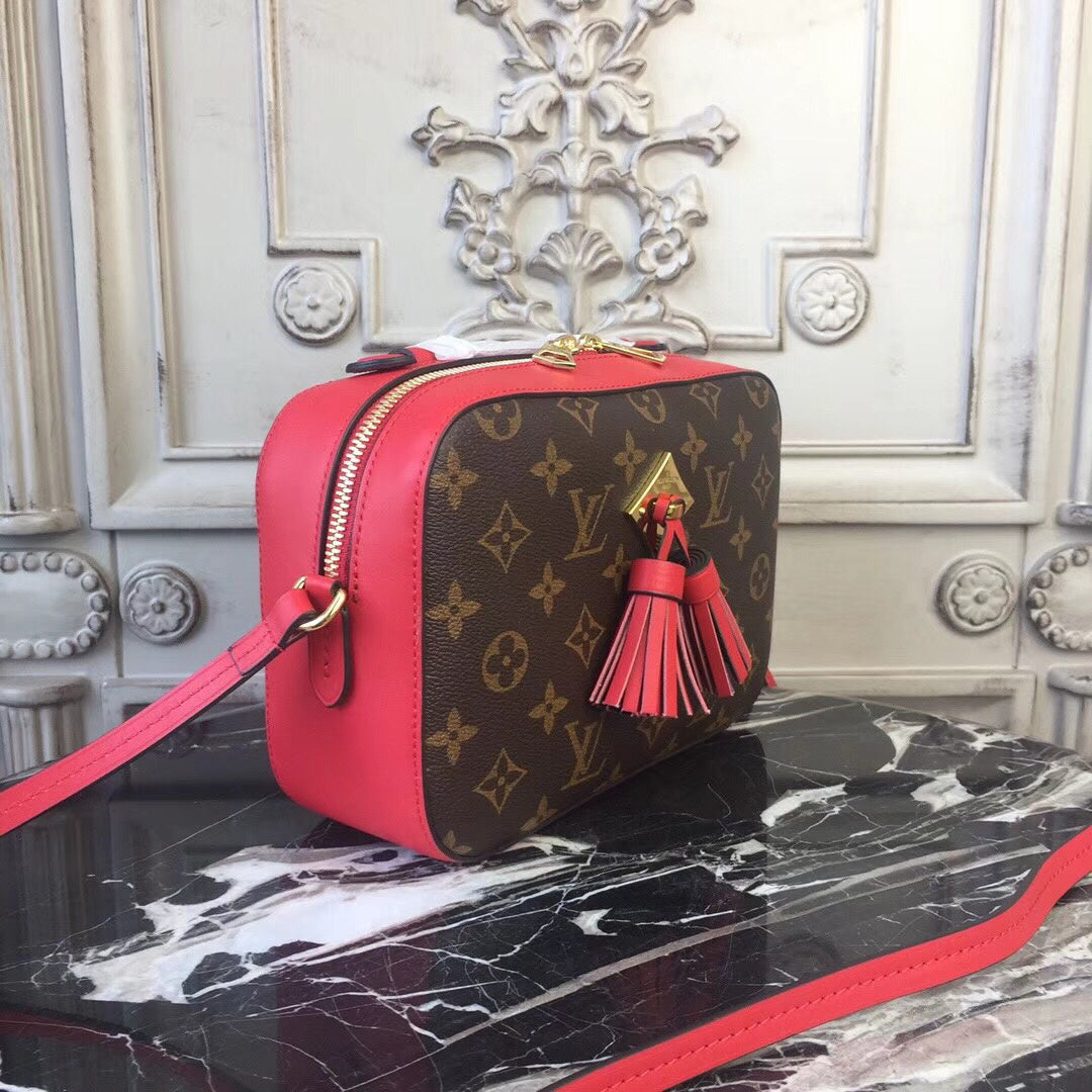 Dragons Bags - High-Quality Designer Products for You - AFFORDABLE LUXURY BAGS - 3583