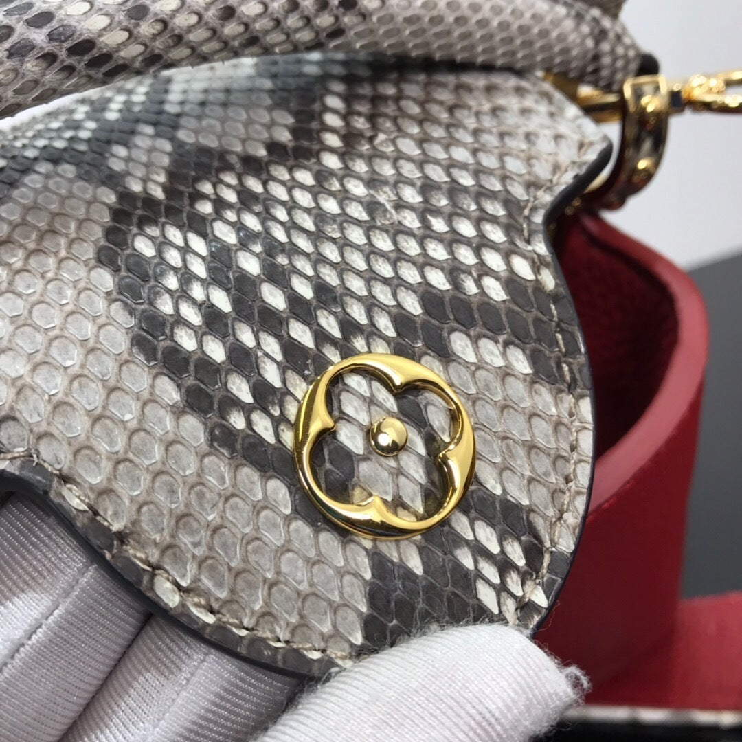 new-luxury-designer-bags-nm22065