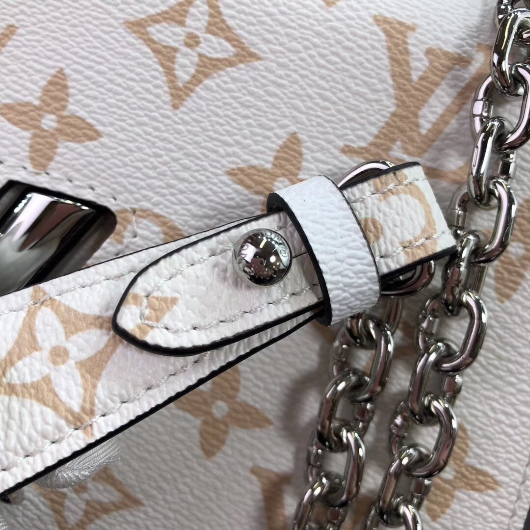new-designer-premium-bags-nm21813