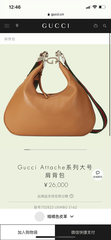Dragons Bags - DESIGNER BAGS FOR WOMEN - AFFORDABLE LUXURY BAGS - 20363