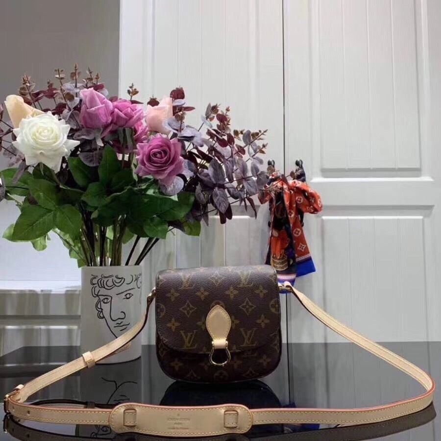 Dragons Bags - DESIGNER BAGS FOR WOMEN - AFFORDABLE LUXURY BAGS - 3848