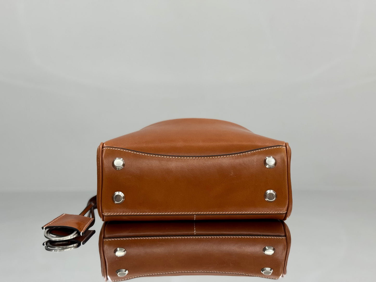new-luxury-designer-bags-nm24691