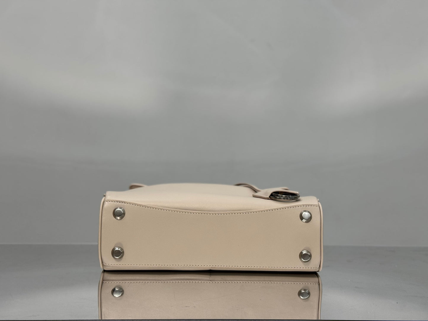 new-luxury-designer-bags-nm24570