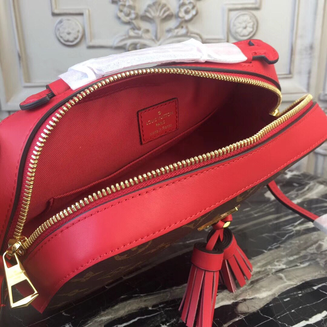 Dragons Bags - High-Quality Designer Products for You - AFFORDABLE LUXURY BAGS - 3583