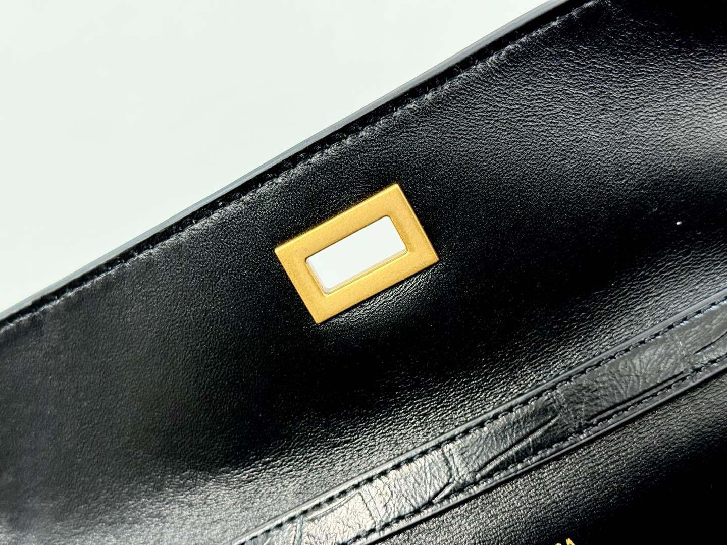 new-luxury-designer-bags-nm24404